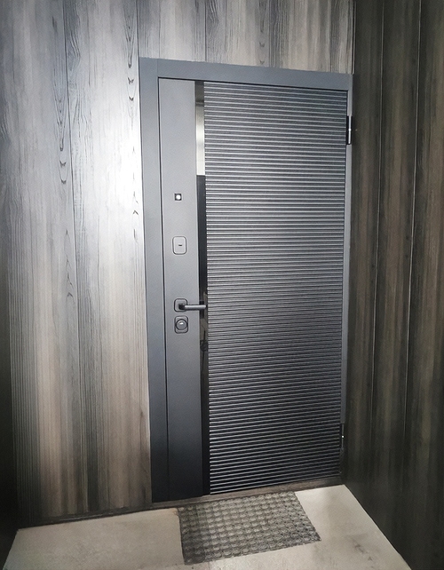 Дверь графит с полосой Дверь графит с полосой